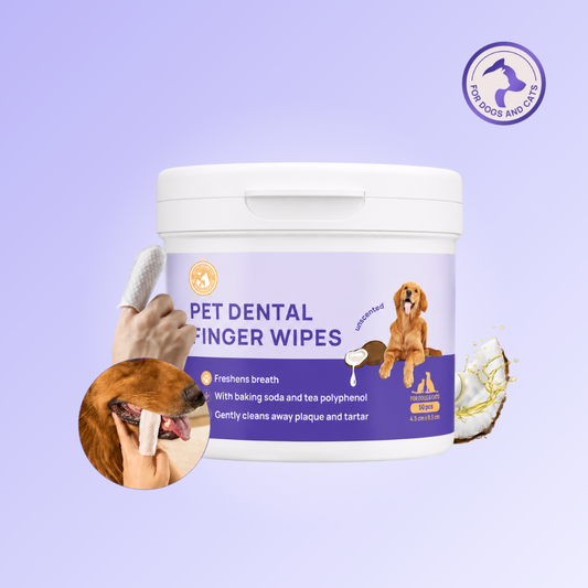 Furcare Dental Finger Wipes