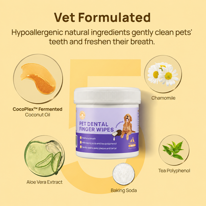 Furcare Dental Finger Wipes