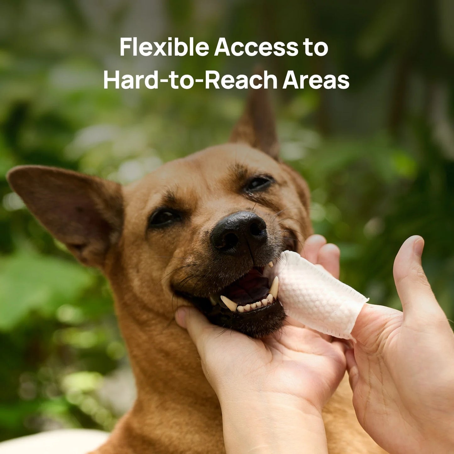 Furcare Dental Finger Wipes
