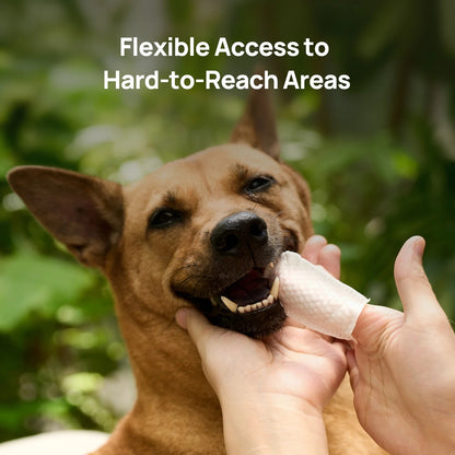 Furcare Dental Finger Wipes