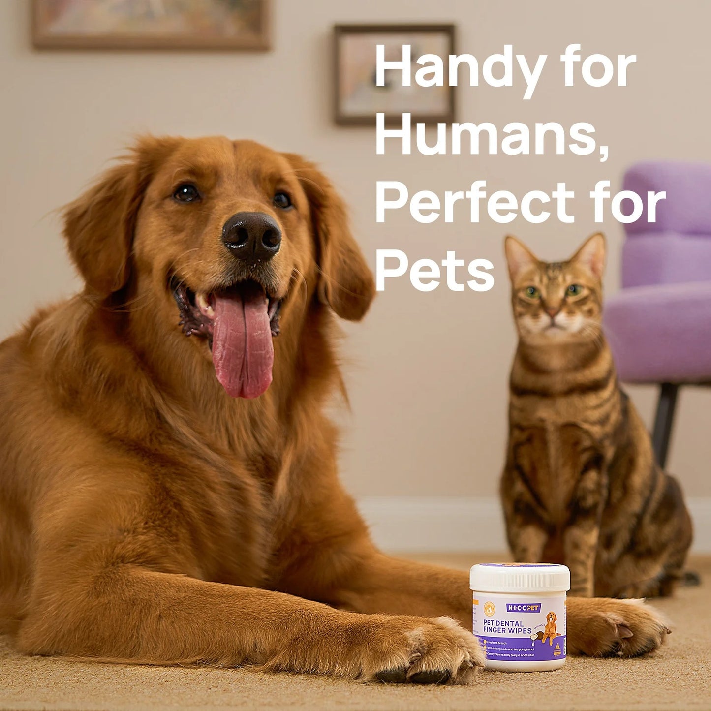 Furcare Ear Finger Wipes